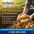 Delta Water Magnetic Device 1 Inch For Water Treatment