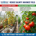 Delta Water Magnetic Device 1 Inch For Water Treatment