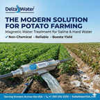 Delta Water Magnetic Device 1 Inch For Water Treatment